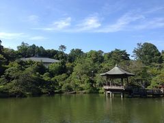 narita003