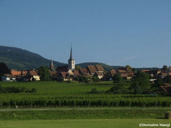 アルザスの伝統を楽しむ☆陶器の村＆パンデピス村 1日観光ツアー＜貸切／現地語ドライバー／ストラスブール発＞ by［みゅう］