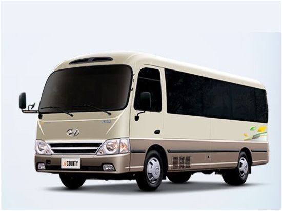 【貸切チャーター】釜山発！世界遺産　慶州＋海印寺　宝城や順天湾もOK　選べる時間（9～12時間）＜最大12名＞※車1台あたり料金