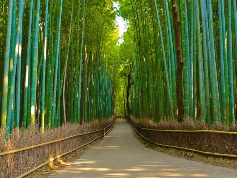 嵐山散策 金閣寺 上賀茂神社 バスツアー 天龍寺や竹林の小径も楽しめる 21 10 1 22 3 18 京都駅発 1日 By 京都定期観光バス 京都の観光 遊び 体験 レジャー専門予約サイト Veltra ベルトラ 嵐山散策 金閣寺 上賀茂神社 バスツアー 天龍寺や竹林の小径も楽しめる 21 10 1 22 3 18 京都駅発 1日 By 京都定期観光バス 京都の観光 遊び 体験 レジャー専門予約サイト Veltra ベルトラ