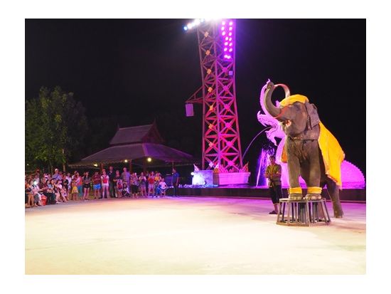 サイアム・ニラミット　チケット事前予約  大迫力！タイの文化や歴史に触れる壮大なショー　＜選べる席種／往復送迎／夕食付プランあり＞ 