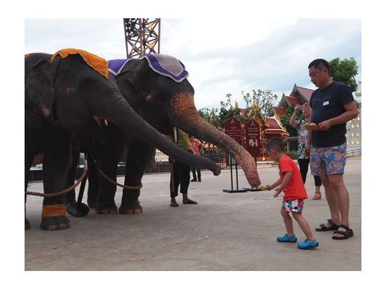 サイアム・ニラミット　チケット事前予約  大迫力！タイの文化や歴史に触れる壮大なショー　＜選べる席種／往復送迎／夕食付プランあり＞ 