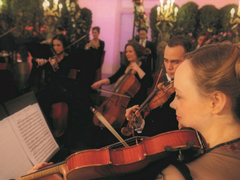 Schoenbrunn_Palace_orchestra