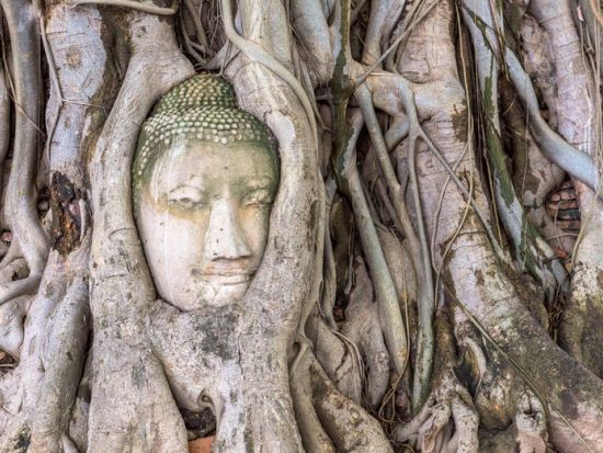 アユタヤ6大遺跡観光ツアー　ディナークルーズまたはカリプソ付きプランあり＜1日／日本語ガイド／遺跡を眺める「サラ アユタヤ」での選べる昼食／往復送迎＞