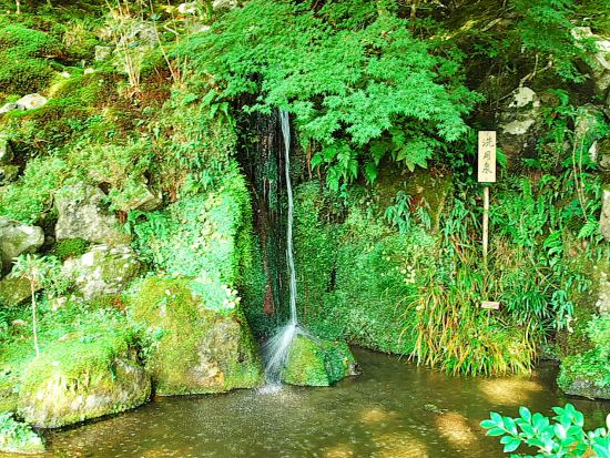 【多言語バスツアー】金閣寺＋銀閣寺＋清水寺 半日バスツアー 京都の世界遺産3ヶ所めぐり＜英・中・韓音声ガイド／京都駅発＞by おこしバス（京都定期観光バス）