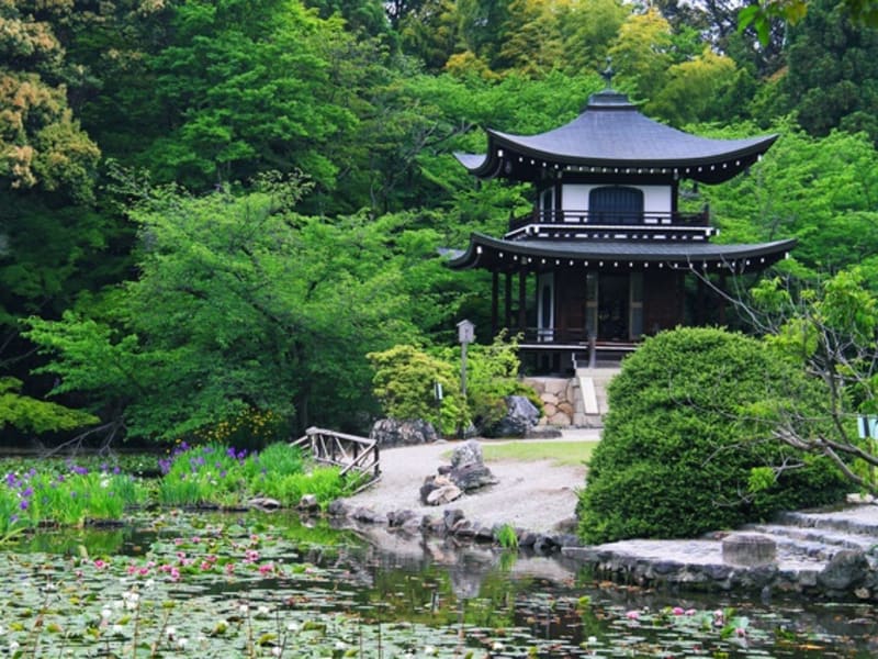 萬福寺 平等院 醍醐寺 三室戸寺 勧修寺 バスツアー 世界遺産を2か所巡る お茶の香り宇治と伏見の魅力を堪能 昼食付 京都駅発 By京都定期観光バス 京都の観光 遊び 体験 レジャー専門予約サイト Veltra ベルトラ