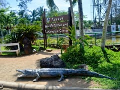 palawan wildlife rescue and conservation center
