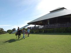 lush green grass at Mitra's Ranch in Palawan