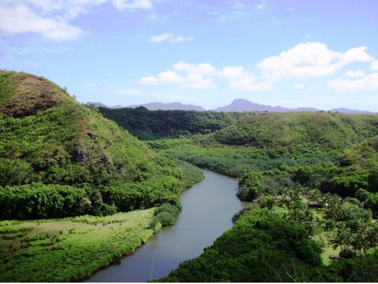 シダの洞窟観光ツアー　ワイメア渓谷＆ポイプ潮吹岩＆オパエカア滝 ＜英語ガイド＞