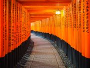 fushimi inari torii1