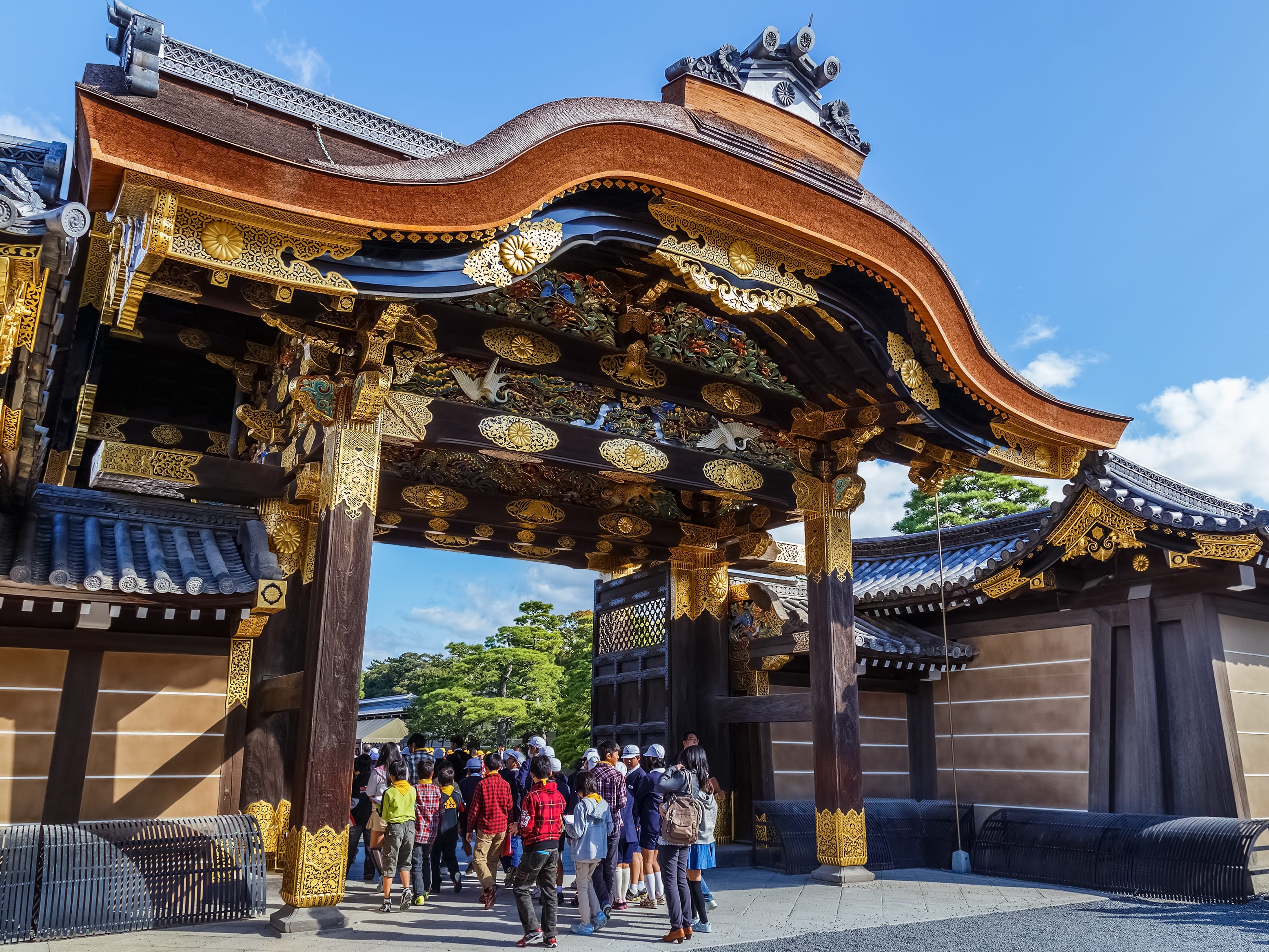 Kyoto & Nara 1-Day Bus Tour from Tokyo with Nijo Castle & Nara Park ...