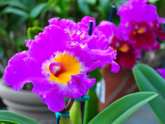 kimberlykv via Flickr 01