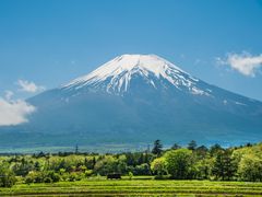 shutterstock_454857775