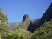 Polynesian Adventure Tours 11