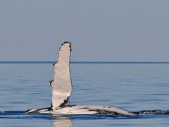 _GJB4863a-2
