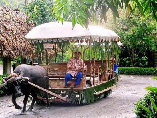 ココナッツ農園＆リゾート「ヴィラ・エスクデロ」日帰り観光ツアー ＜昼食付き／＜英語（混乗）もしくは日本語（貸切）ガイド＞