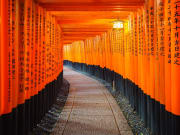 fushimi inari torii cropped
