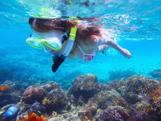 shutterstock_115800901cropped