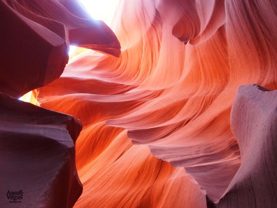 グランドサークル日帰りツアー　グランドキャニオン＆アンテロープ＆ホースシューベンド＆モニュメントバレーなど＜3～10月／星空観賞付き／昼食付き／日本語ガイド＞