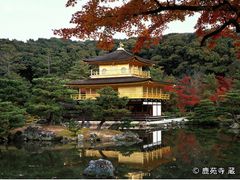 ※使用不可(VTロゴが見えないため・再アップ済)