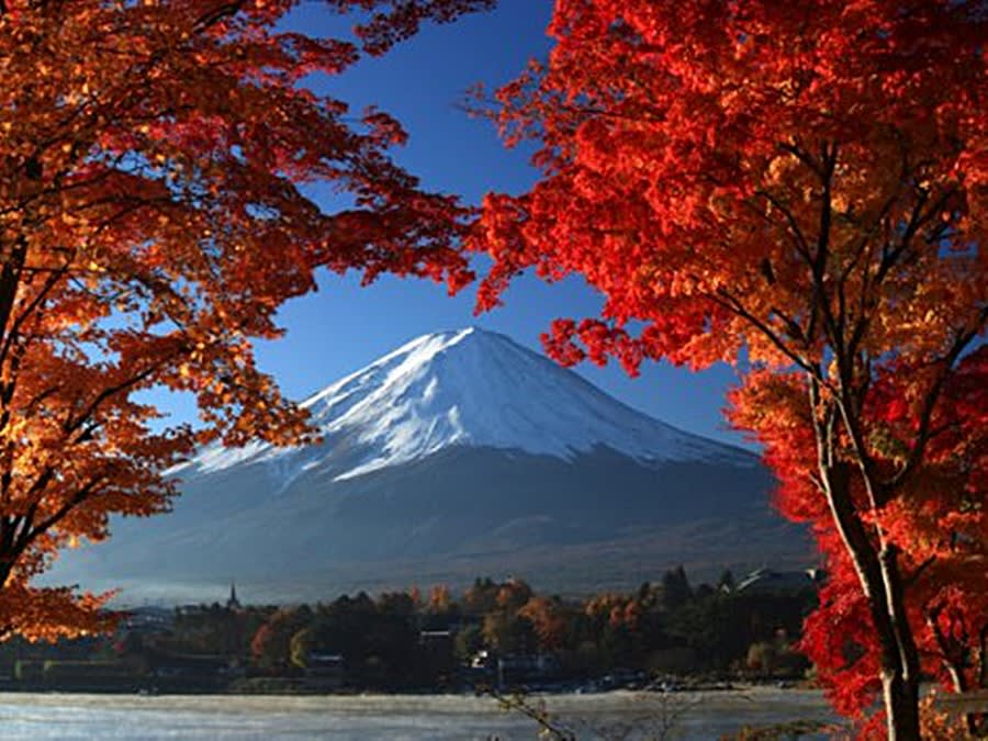 Fuji Kawaguchiko Autumn Leaves & Arakurayama Sengen Park Tour from