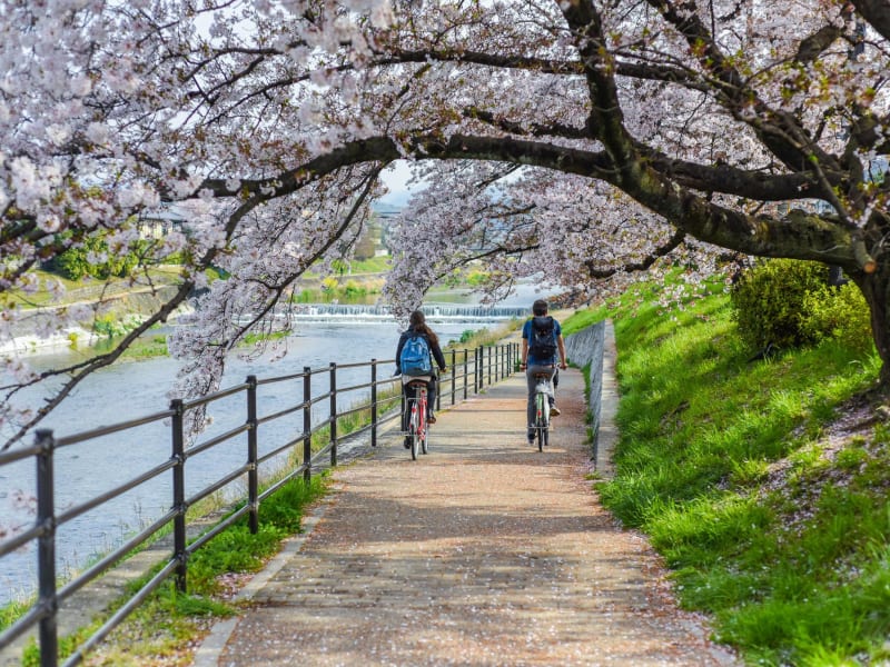 best bike tour kyoto