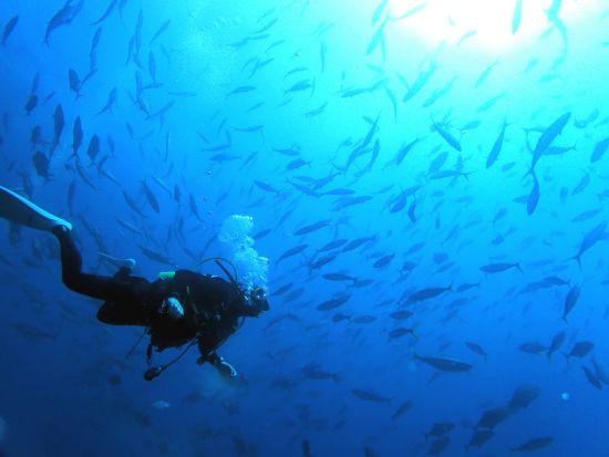 ビーチ体験ダイビング 午前または午後の半日ツアー 記念動画プレゼント！＜約3時間＞ by マリンクラブ カイオロヒア