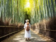 Tourist in Arashiyama cropped