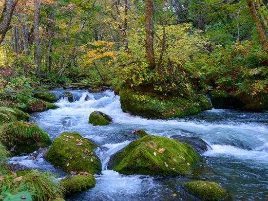 shutterstock_126776591