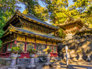 Toshogu Shrine sunrise