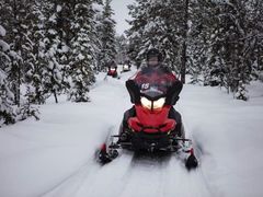 Snowmobile excursion, safari, Lapland