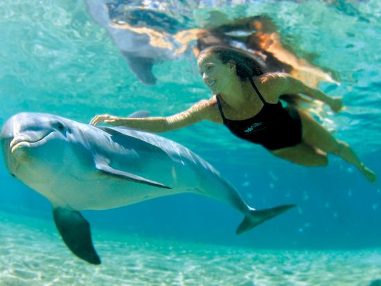 ドルフィン・クエスト　イルカと触れ合えるプログラムが充実！キッズ向けプログラム＜ヒルトン・ワイコロア・ビレッジ内＞