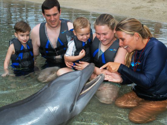 ドルフィン・クエスト　イルカと触れ合えるプログラムが充実！キッズ向けプログラム＜ヒルトン・ワイコロア・ビレッジ内＞