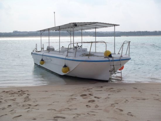 与論島シュノーケリング ボートでヨロンブルーの海へ！与論島最大の赤崎サンゴの森またはクマノミをご案内 ＜約2時間／大金久海岸発＞ by タンディーマリン