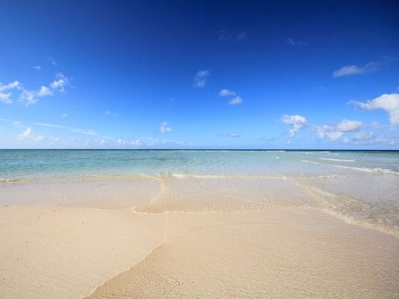 サマーセール対象プラン | 奄美大島・奄美群島 旅行の観光