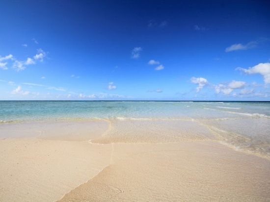 百合ヶ浜上陸＋シュノーケリングツアー　与論島最大のサンゴ礁「赤崎サンゴの森」でSUP体験も可能 ＜大金久海岸発＞byタンディーマリン