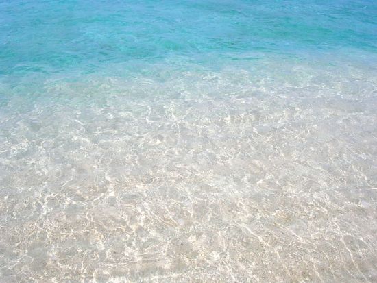 与論島シュノーケリング ボートでヨロンブルーの海へ！与論島最大の赤崎サンゴの森またはクマノミをご案内 ＜約2時間／大金久海岸発＞ by タンディーマリン