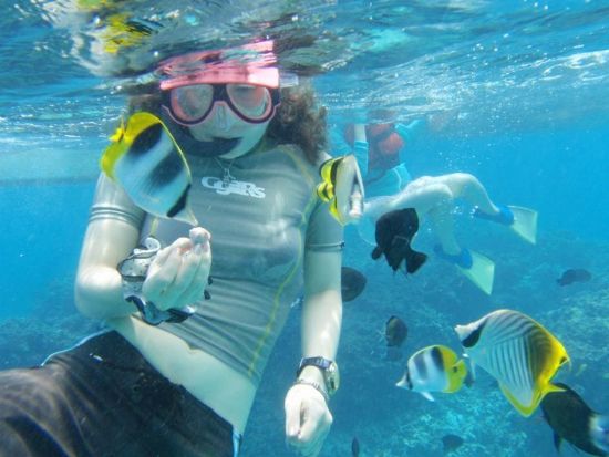 与論島シュノーケリング ボートでヨロンブルーの海へ！与論島最大の赤崎サンゴの森またはクマノミをご案内 ＜約2時間／大金久海岸発＞ by タンディーマリン