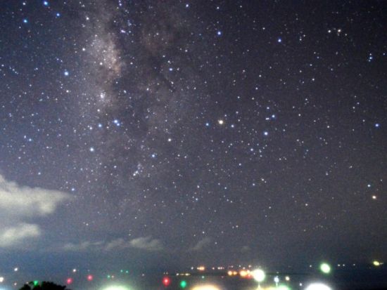 星空観賞＆ナイトサファリ　星降る夜にホタル・オオコウモリ・ヤシガニと出会うツアー ＜当日予約OK／市街地ホテル送迎可＞