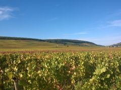 Burgundy countryside