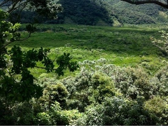 11000000874101_AGImBvAh_4-crop