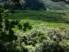 11000000874101_AGImBvAh_4-crop