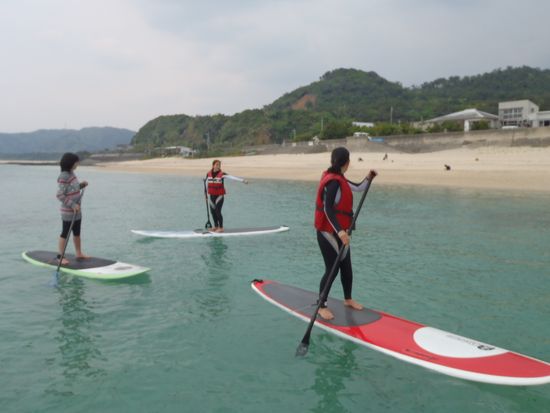 11000000943023_7RzYRSWH_4-crop