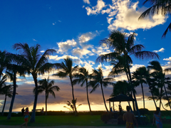 Paradise Cove 08