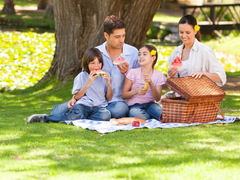 USA_New York_Central Park_Picnic