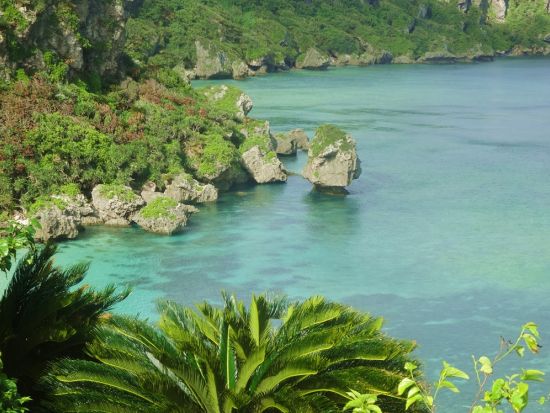 ＼山下ガイドと行く／　浜めぐり島内観光ツアー 海岸線を散策しながら絶景ポイントをご案内！移動は車で楽々！＜3時間 or 1日＞ by 沖永良部島エコツアーネット