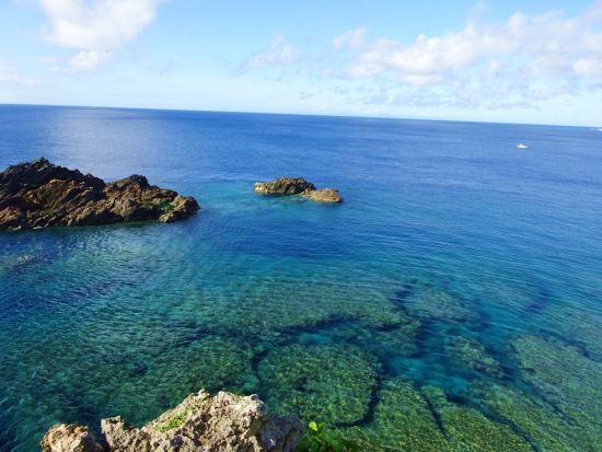 ＼山下ガイドと行く／　映画ロケ地めぐりツアー『深呼吸の必要』『男はつらいよ』など名作映画の撮影地をご案内！＜3時間 or 1日＞by 沖永良部島エコツアーネット