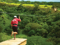 Hawaii_Kauai_Skyline Eco Adventure_Poipu Zipline
