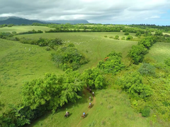Princeville 03