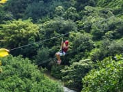 USA_Hawaii_Lihue-Treetop-Zipline